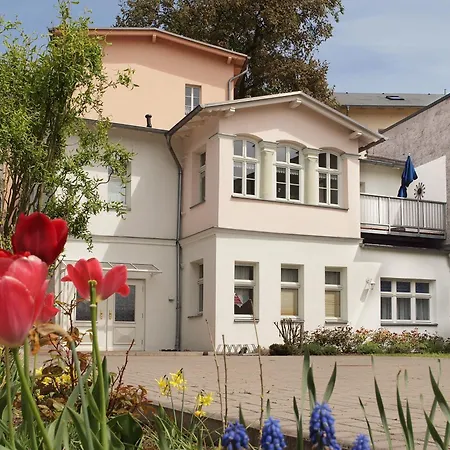 Apartment Bellevue Nr 09